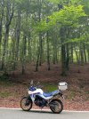 IMG_8179.jpeg