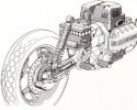IMG_1605.jpeg