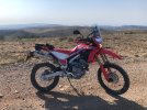 IMG_1449.jpeg