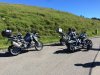 IMG_3714.jpg