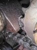 IMG_20160730_113745.jpg