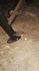 IMG_20160730_140155.jpg