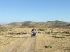 IMG-20160724-WA0022.jpg
