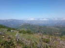 IMG_20240804_141655.jpg