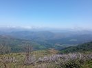 IMG_20240804_141703.jpg