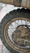 IMG-20240806-WA0000.jpeg