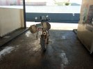 IMG_20240808_173341.jpg