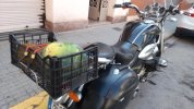 meló.jpg