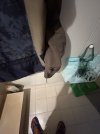 IMG_0090.jpeg