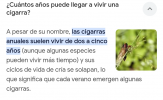 Screenshot_20240812-164202~2.png