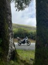 IMG_8259.jpeg