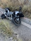 IMG_3356.jpeg