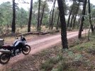 moto 02.jpeg