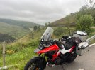 IMG_2255.jpeg