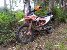 IMG_20220624_134218.jpg