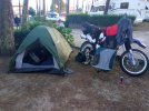 IMG_20240808_201103.jpg