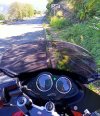 IMG_20240915_111551.jpg
