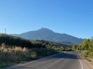 IMG_7434.jpeg