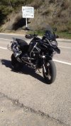 IMG_1441.jpeg