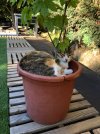 IMG_3779.jpeg