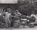 1977  frenchie - copia.jpg