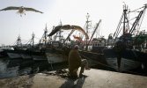 un-pescador-se-toma-un-descanso-en-el-puerto-de-essaouira-marruecos.jpeg
