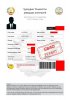 VISA TAJIKISTAN PETITA.jpg