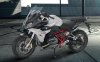 R_1200_RS.jpg