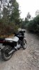 IMG_20160813_083701.jpg