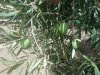 20160815_124536.jpg