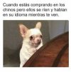 images (1).jpeg