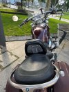 IMG_3811.jpeg