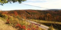 IMG_20241012_131202.jpg