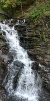IMG_20241011_152950.jpg