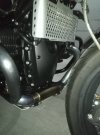 IMG_20240626_172049_9.jpg