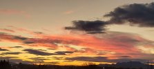 20241122_180120.jpg
