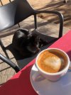 IMG_4554.jpeg