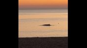 25c2c8e4-45f5-4e88-9039-77bc5657f2c7_16-9-discover-aspect-ratio_default_0.jpg