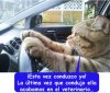 tumblr_obyzrcs4dj1s2md07o1_540.jpg