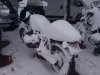 DSC00407.JPG