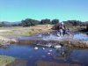 IMG-20150111-WA0001.jpg