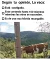 IMG_5463.jpeg