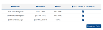 Captura de pantalla 2025-01-22 190946.png