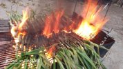 calçots.jpg