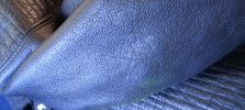 IMG_20250205_155504.jpg