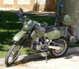 Suzuki_DRZ_UME.jpg