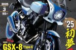 2_suzuki_gsx-8s_retro.jpg