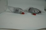 DSC02869.JPG
