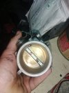 IMG_20250219_130658.jpg