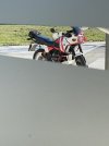 IMG_6330.jpeg